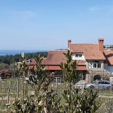 Apartma Viva